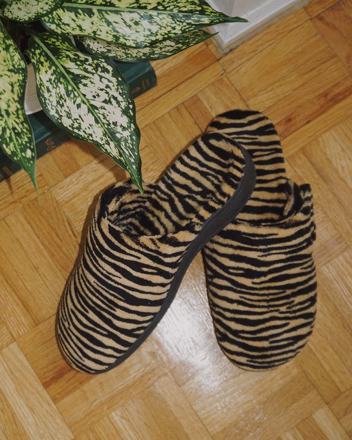 Vionic best sale leopard slippers